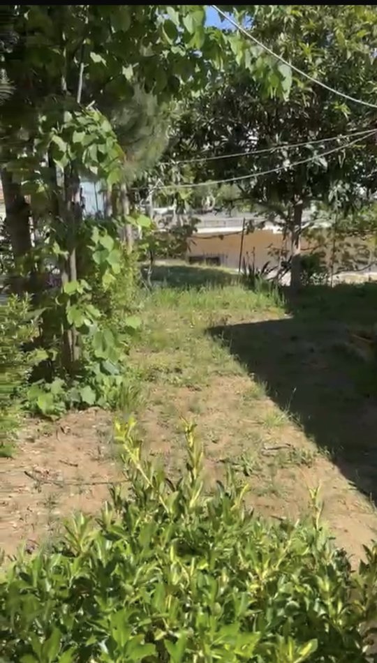 Tirane, jepet me qera shtepi 1+1+Ballkon Kati 1, 400m² 350 € (Rruga teleferikut,Fresk)