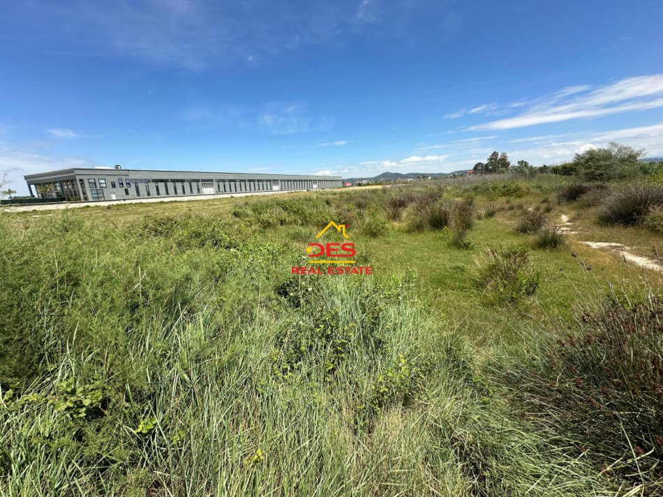 Vlore, shitet toke , 10.000 m² 250.000 € (Novosel)