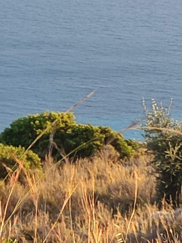 Vlore, shes truall ne bregdet 5.500 m² 190 Euro/m2 (DRIMADHES)