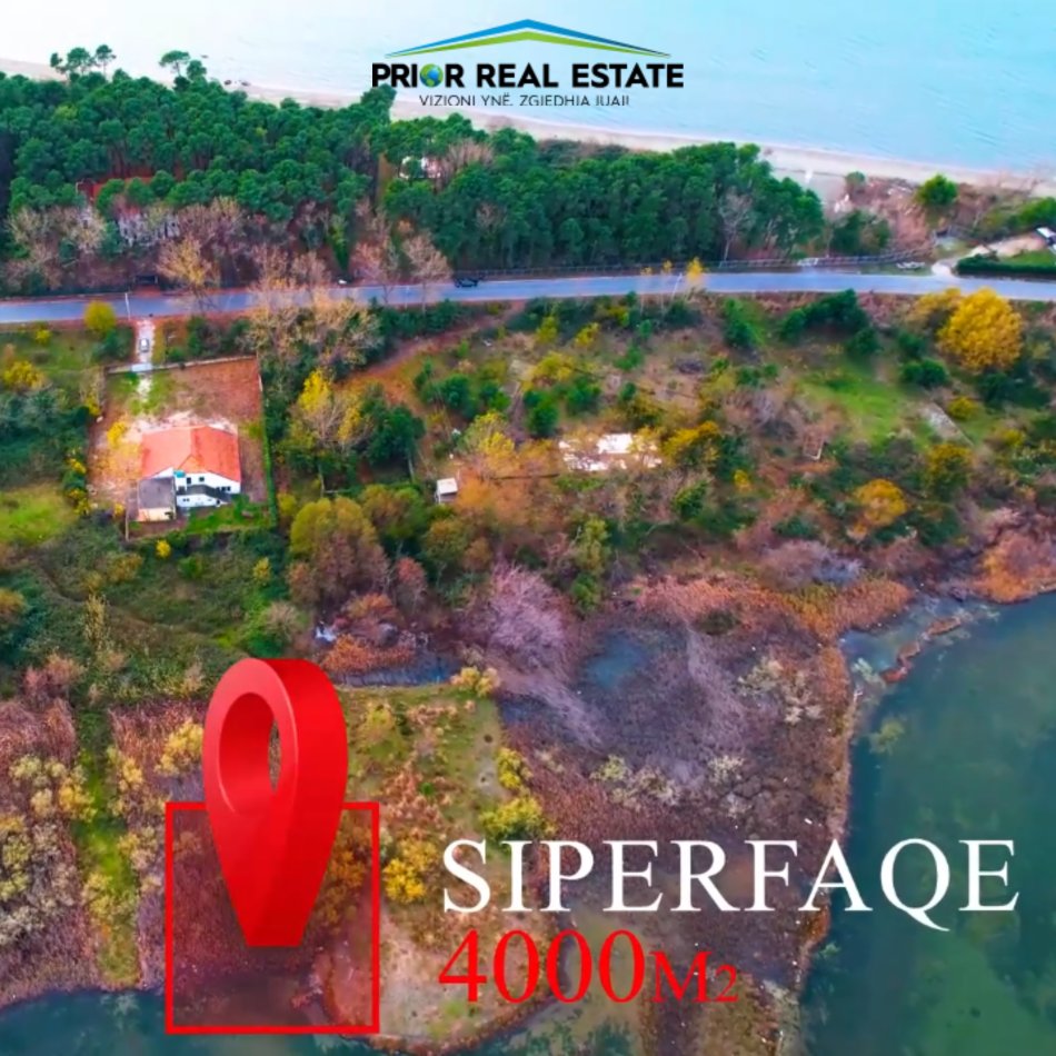 Lezhe, shitet toke , 4.000 m² 340.000 € (Shengjin)