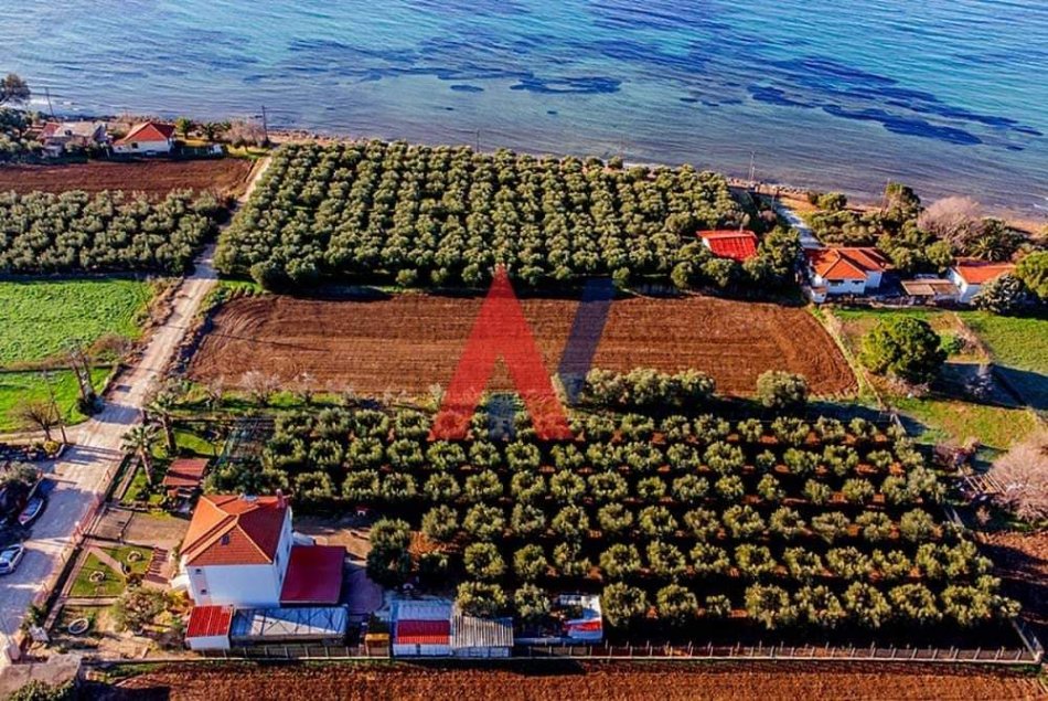 Greqi shitet Vile 3 Katshe 242 m² 420.000€