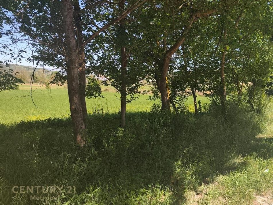 Tirane, shitet toke , 2.500 m² 300.000 € (Peze Helmes Tirana)