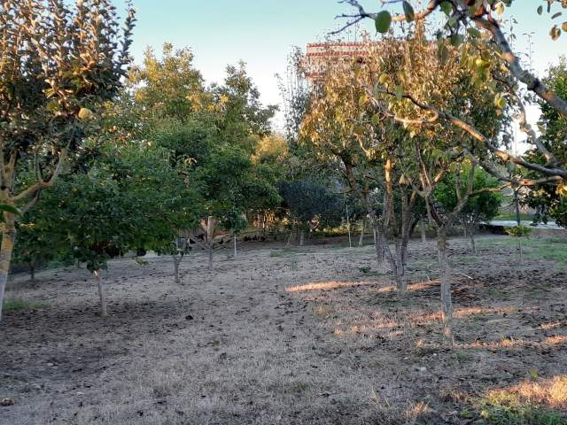 Durres, shes Vile 3 Katshe Kati 0, 120 m² 160.000 Euro (Koxhaze Shijak)