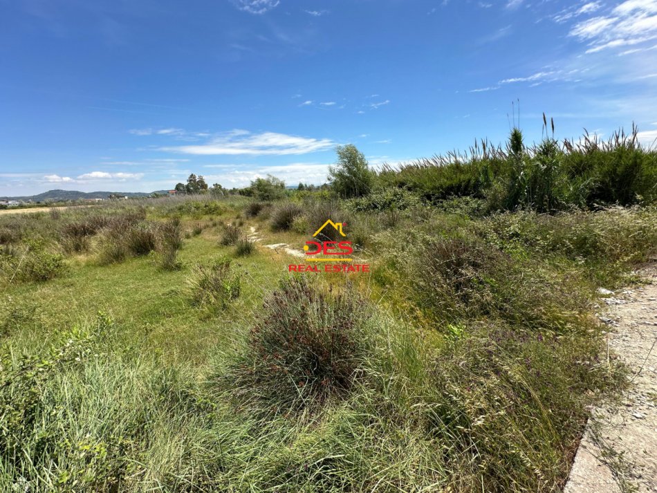Vlore, shitet toke , 10.000 m² 250.000 € (Novosel)