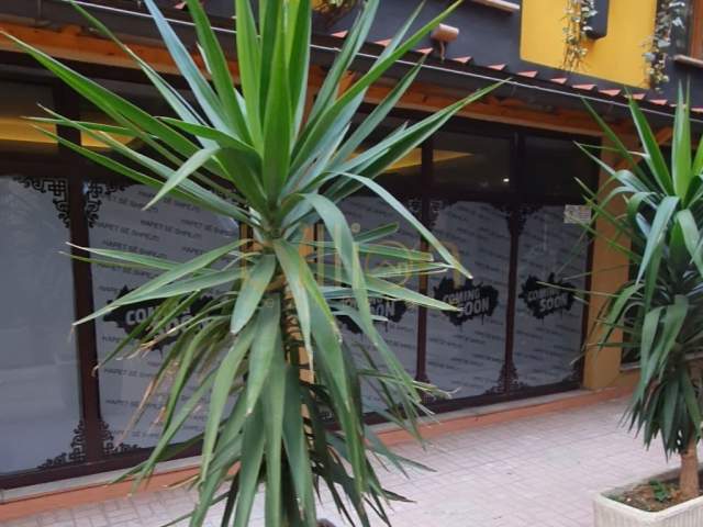 Tirane, shitet lokal Kati 0, 163 m² 500.000 Euro (Shallvaret) ID: Billion2576