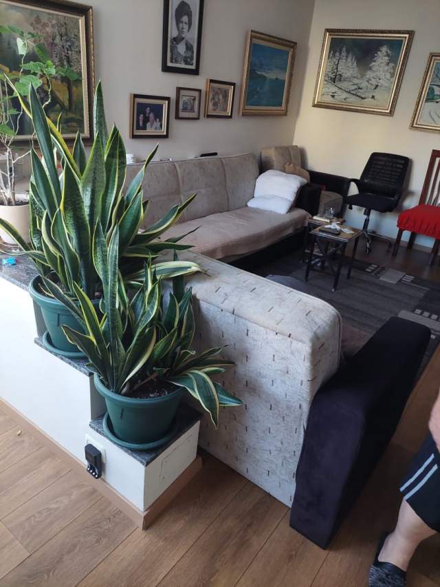 Tirane, Shitet Vile 5  Kateshe , 460 m² ndertim per 850.000 Euro (Rruga e Dibres)