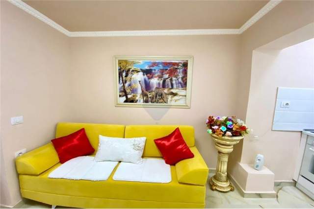 Tirane, jepet me qera apartament 1+1 40 m² 450 Euro (komuna e parisit)