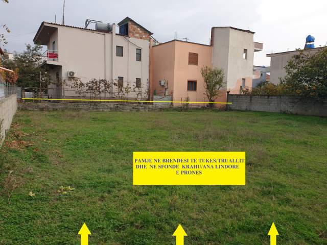 Shitet, Siperfaqe Trualli, ideale për 1-Vilë ose kapanon shërbimesh, 500m², Cmim 55'000€, në të djathtë Autostradës Tiranë-Durrës, rruga dytësore, me kthim tek Skoda & Porsche Albania 5