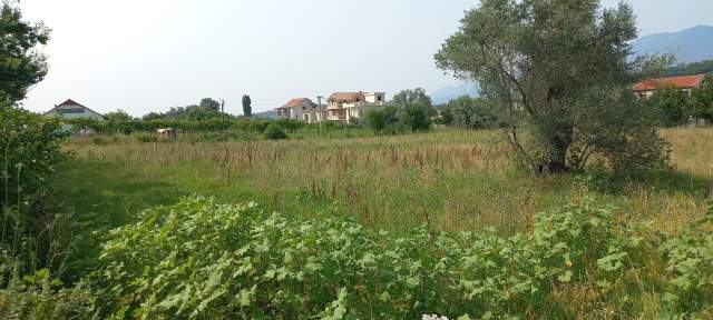 Tirane -Bërzhitë, Shitet Tokë, 14 km nga qendra e Tiranës, buzë rrugës vjetër nacionale Tirane-Mullet-Berzhit-Elbasan, sip.3050m², Cmimi 95 €/m2, sapo kalon qendren e Njësisë Bërzhit/ Lokal Palmanoven 14km nga qendra Tiranës