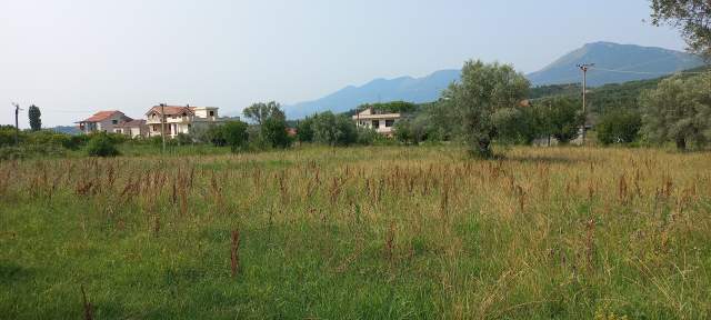 Tirane -Bërzhitë, Shitet Tokë, 14 km nga qendra e Tiranës, buzë rrugës vjetër nacionale Tirane-Mullet-Berzhit-Elbasan, sip.3050m², Cmimi 95 €/m2, sapo kalon qendren e Njësisë Bërzhit/ Lokal Palmanoven 14km nga qendra Tiranës