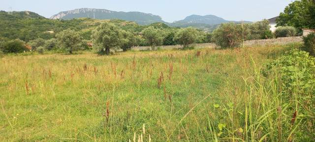 Tirane -Bërzhitë, Shitet Tokë, 14 km nga qendra e Tiranës, buzë rrugës vjetër nacionale Tirane-Mullet-Berzhit-Elbasan, sip.3050m², Cmimi 95 €/m2, sapo kalon qendren e Njësisë Bërzhit/ Lokal Palmanoven 14km nga qendra Tiranës