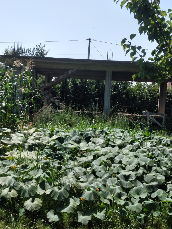 Tirane, shitet shtepi 2+1 Kati 1, 90 m² 60.000 € 