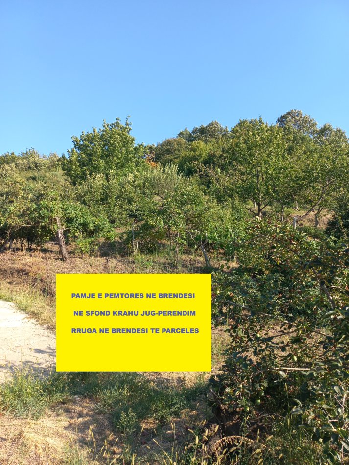 Tirane,Shitet Okazion! Tokë-Pemtore, me mundësi ndërtimi edhe shtëpi banimi, sip.7'400m², Cmimi  55'000 €, pranë autostradës Tirane-Elbasan, në daljen e parë tunelit Krrabës, në zonën Mamel/Dopaj, 24-km / 21min  auto nga qendra Tiranës dhe 13-km nga Elbasani.
