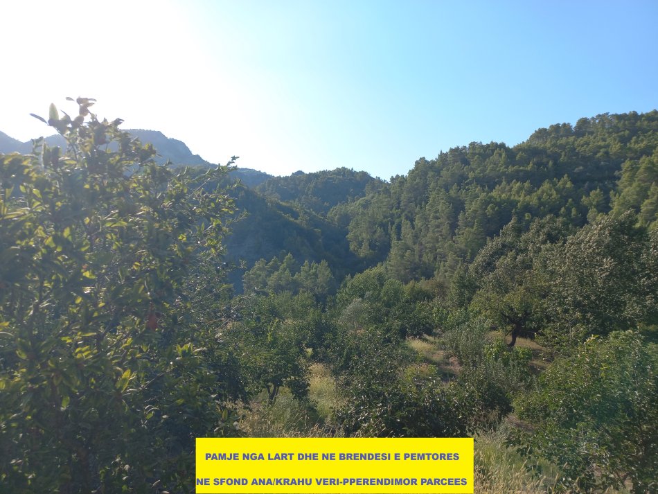 Tirane,Shitet Okazion! Tokë-Pemtore, me mundësi ndërtimi edhe shtëpi banimi, sip.7'400m², Cmimi  55'000 €, pranë autostradës Tirane-Elbasan, në daljen e parë tunelit Krrabës, në zonën Mamel/Dopaj, 24-km / 21min  auto nga qendra Tiranës dhe 13-km nga Elbasani.
