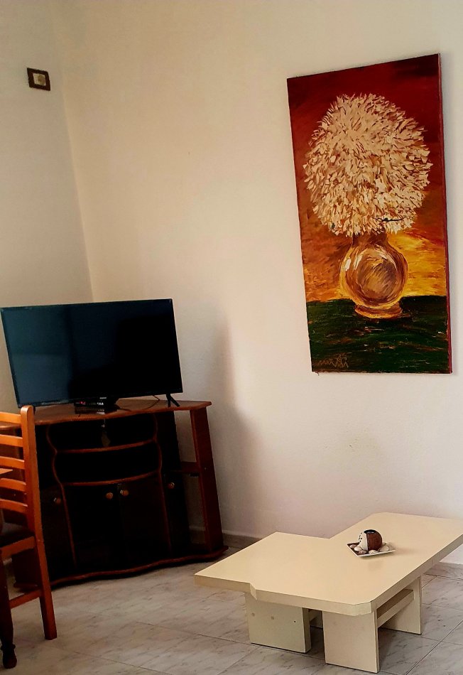 Tirane, jepet me qera shtepi 1+1 Kati 1, 70 m² 280 € (Hasan Meniku)