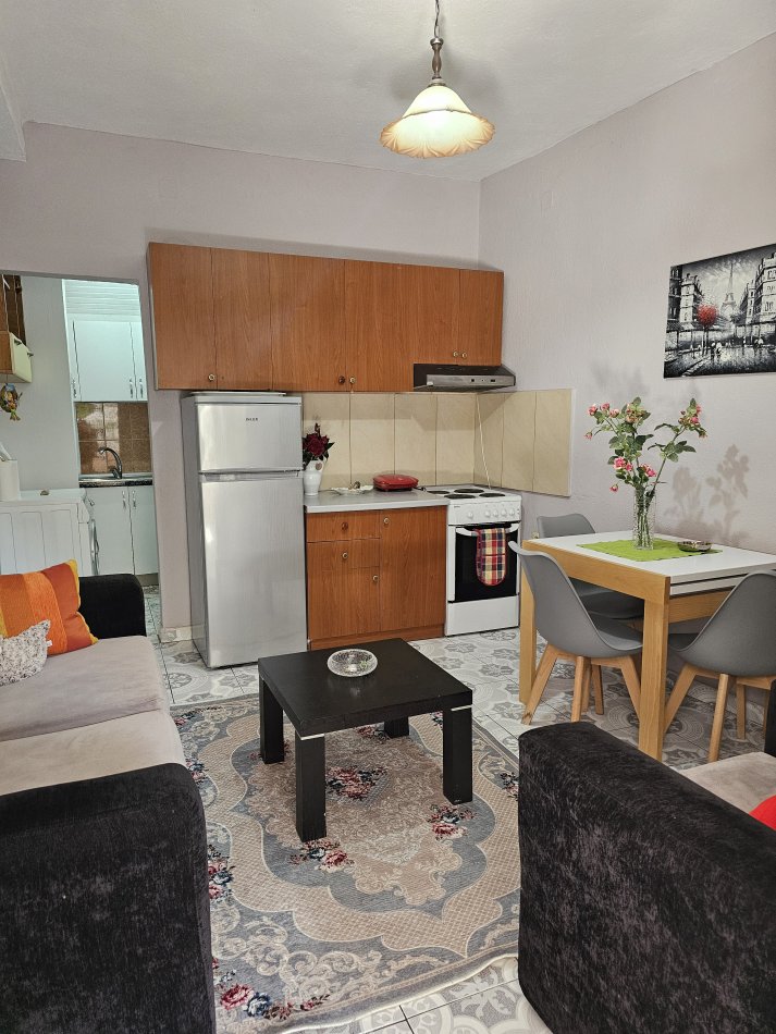 Tirane, jepet me qera apartament 1+1 Kati 0, 55 m² 360 € 