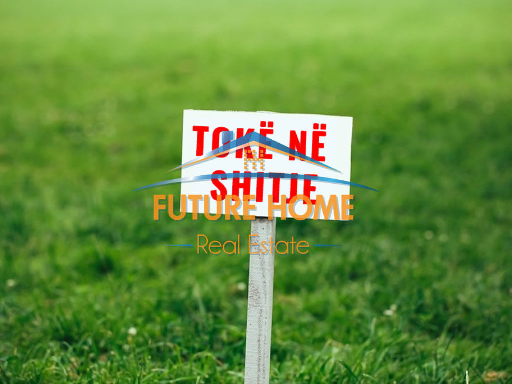 Shitet, Toke, Spitalle