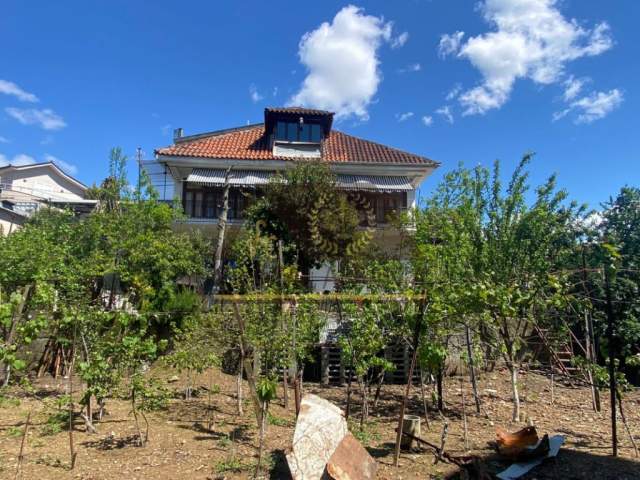 Tirane, shitet shtepi 2 Katshe 600 m² 300.000.000 Euro