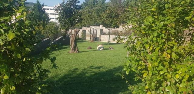 Tirane, shes Vile Kati 3, 1.200 m² 490.000 Euro (pez-helmas)