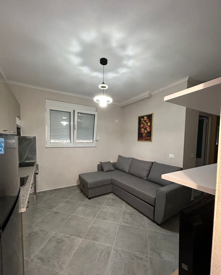 Tirane, jepet me qera apartament 1+1+Ballkon Kati 1, 50 m² 350 € (Fresk rruga Xhon Belushi)