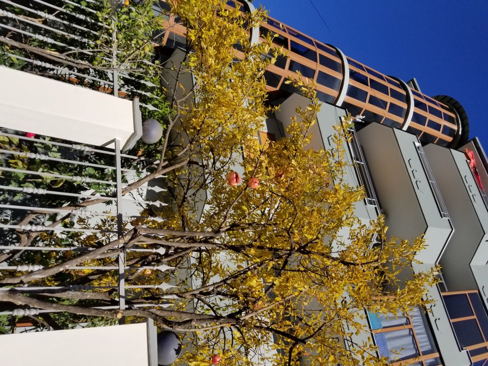 Tirane, jap me qera Vile 5 kateshe, e mobiluar, 3700 € (Dhimiter Pasko, Selite)
