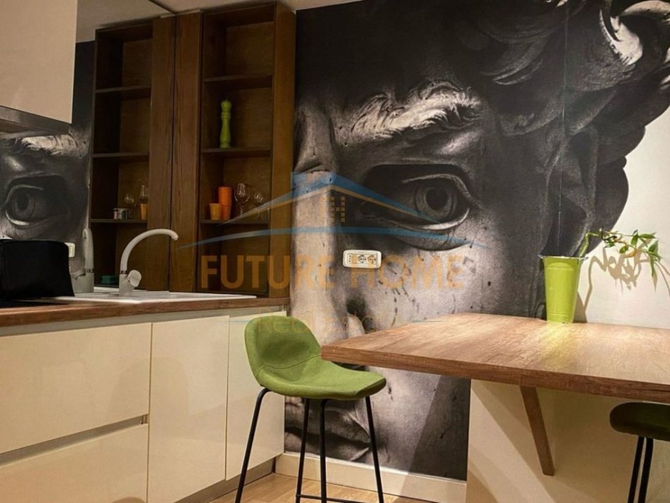 Tirane, jepet me qera apartament 1+1 Kati 0, 70 m² 480 € (Frosina Plaku)