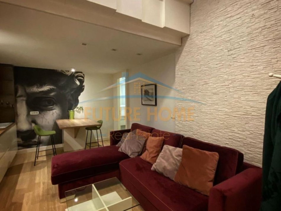 Tirane, jepet me qera apartament 1+1 Kati 0, 70 m² 480 € (Frosina Plaku)