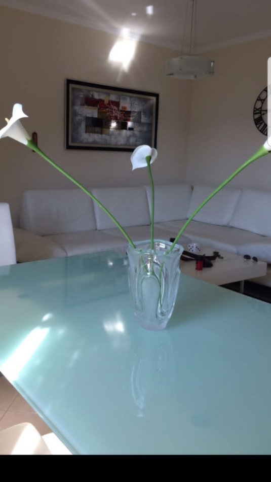 Tirane, jepet me qera apartament 2+1+Aneks+Ballkon Kati 3, 91 m² 600 € (kopshti botanik)