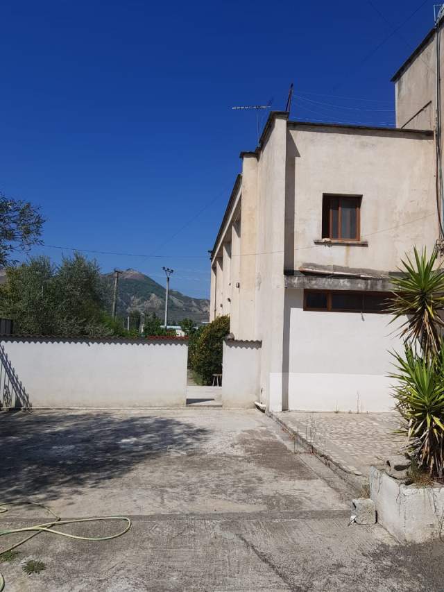 Elbasan, jepet me qera ambjent biznesi 369 m² 800 Euro