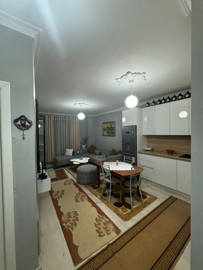 Tirane, jepet me qera apartament 1+1 Kati 1, 65 m² 480 € (RRUGA LONI LIGORI)