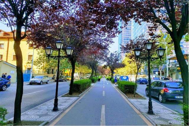 Tirane, jepet me qera ambjent biznesi 600 m² 3.000 Euro (Vace Zela ,Rruga e Kavajes)