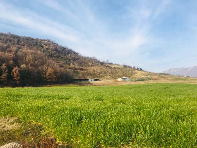 Tirane, shes truall 6.000 m² 300.000 Euro (NË DAIAS, NË PERIFERI TË TIRANES)