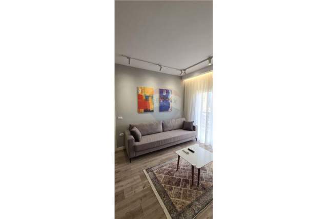 Tirane, jepet me qera apartament 2+1+BLK 120 m² 750 Euro (rruga e dibres)
