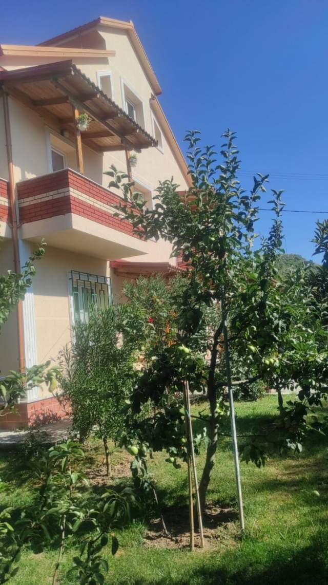 Tirane, jap me qera Vile 3 Katshe 1.000 Euro (Peze e vogel)