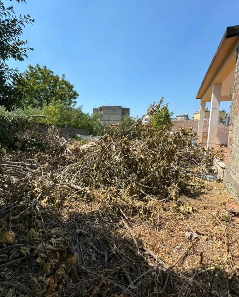 Kavaje, shitet truall , 440 m² 55.000 € (Afer shkolles,Rilindja,Kavaje)