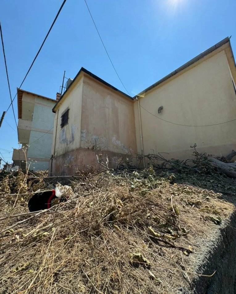 Kavaje, shitet truall , 440 m² 55.000 € (Afer shkolles,Rilindja,Kavaje)