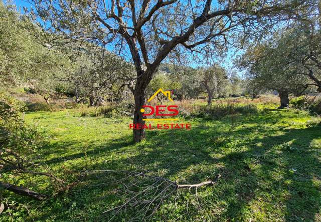 Himare, shes toke bujqesore 2.300 m² 345.000 Euro