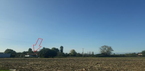 Lezhe, Shitet Tokë Arë 2,000 m2, 2.772.000 Leke (Tale 2)