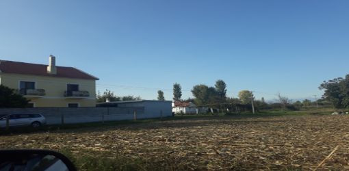 Lezhe, Shitet Tokë Arë 2,000 m2, 2.772.000 Leke (Tale 2)