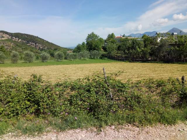 Tirane, shes toke 1.400 m² 3.000 Leke/m2