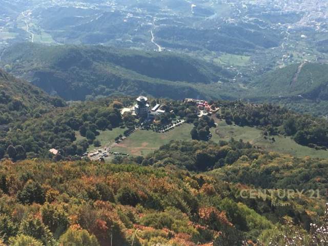 Tirane, shes truall 1.000 m² 42.000 Euro (lanabregas)