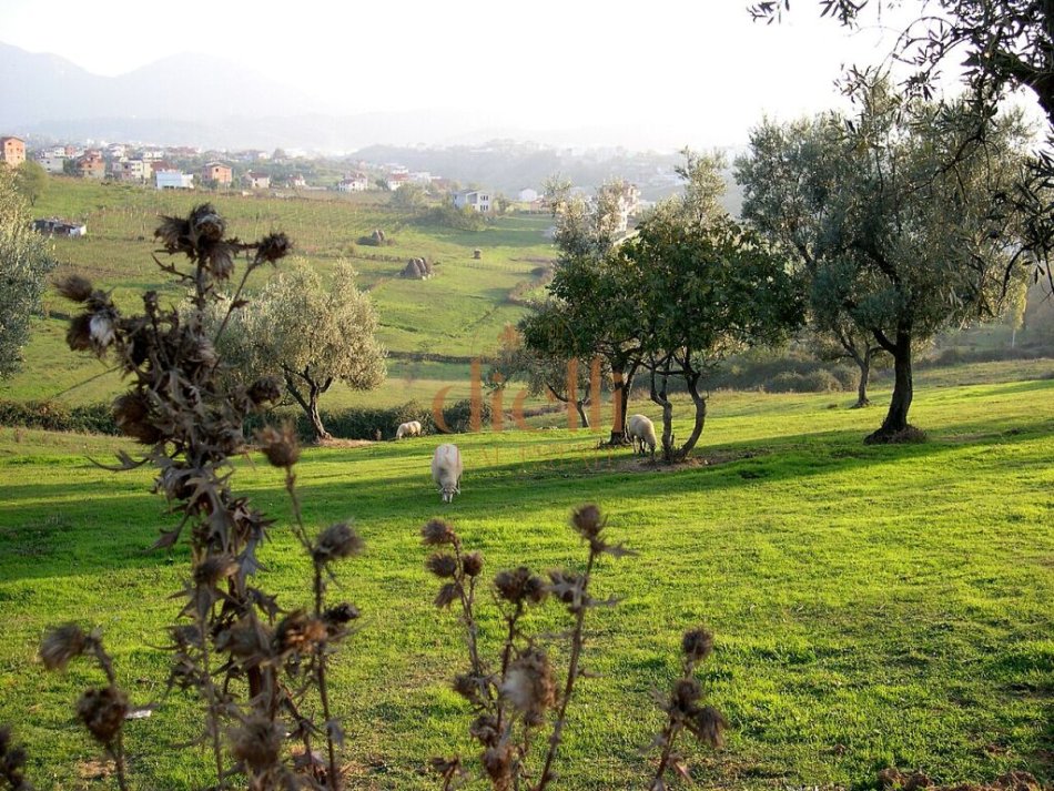 Tirane, shitet apartament 3+1 , 152 m² 221.531 € 