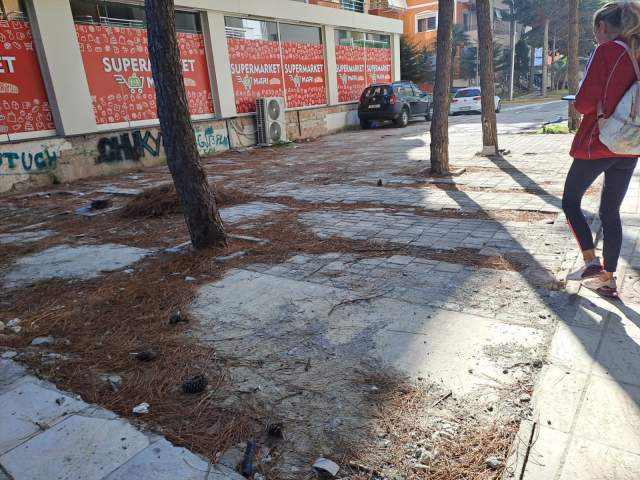 Durres, jepet me qera ambjent biznesi Kati -1, 500 m² 15.000 Euro