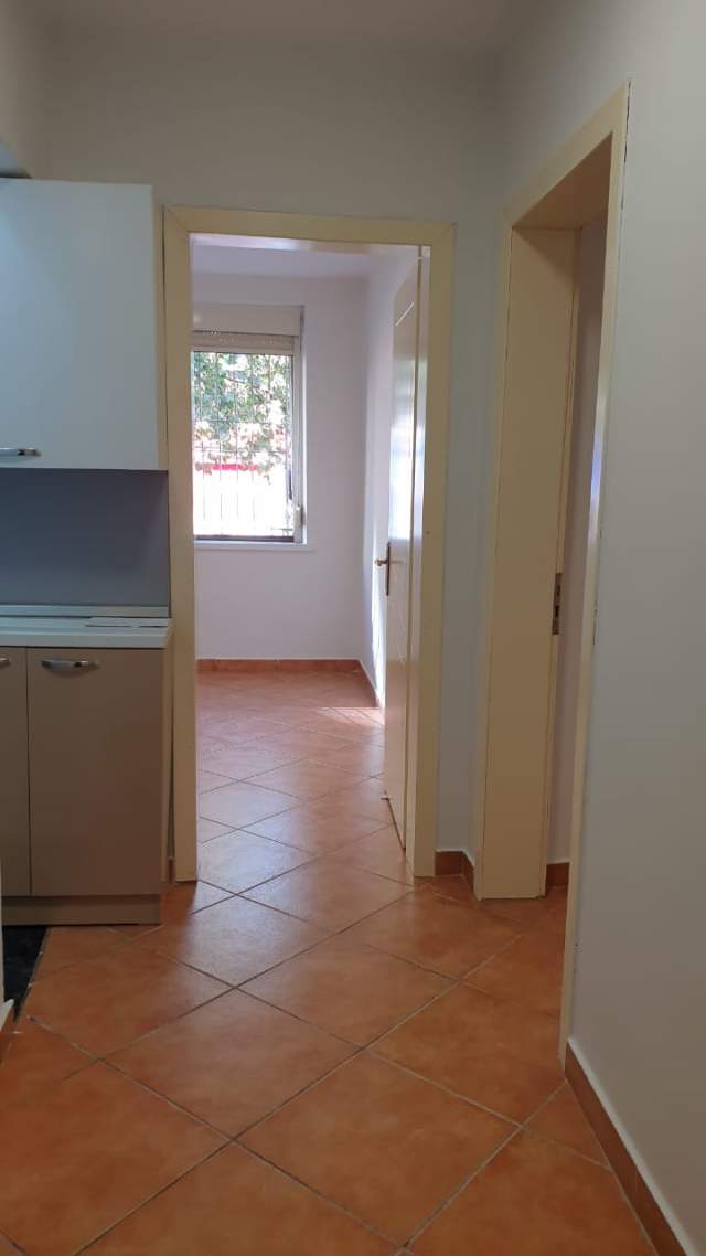 Tirane, jap me qera ambjent biznesi Kati 0, 84 m² 800 Euro (RRUGA SULEJMAN DELVINA)