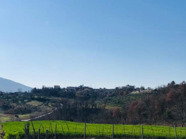Tirane, shes truall 6.000 m² 300.000 Euro (NË DAIAS, NË PERIFERI TË TIRANES)