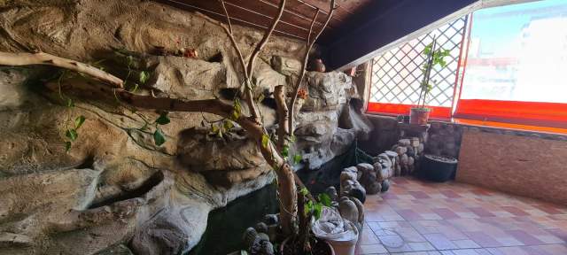 Tirane, shes Vile 504 m² 1.000.000 Euro (Myslym Shyri)