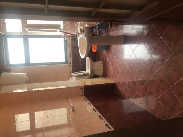 Tirane, jepet me qera Kati 1, 195 m² 900 Euro (atsh)