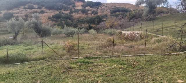 Tirane, shes toke 2.000 m² 40 Euro/m2 (Rruga e Rexhekrit, Surrel, Tirane)