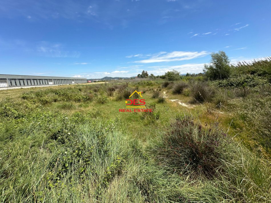 Vlore, shitet toke , 10.000 m² 250.000 € (Novosel)