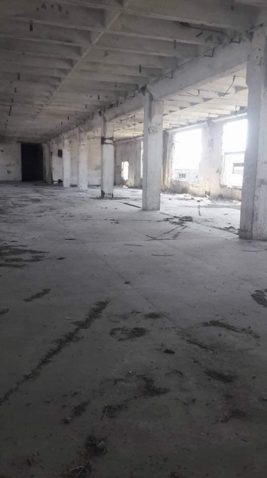 Godinë biznesi në shitje, Shkozet